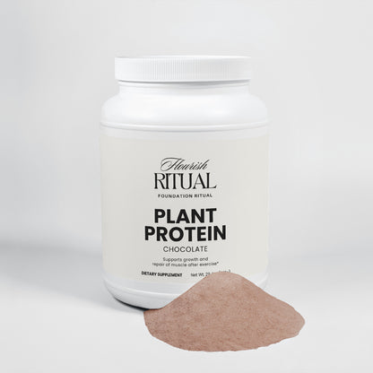 Plant Protein (Chocolate)