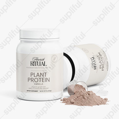 Plant Protein (Chocolate)