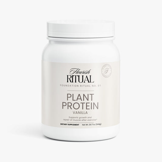 Plant Protein (Chocolate)