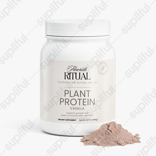 Plant Protein (Chocolate)