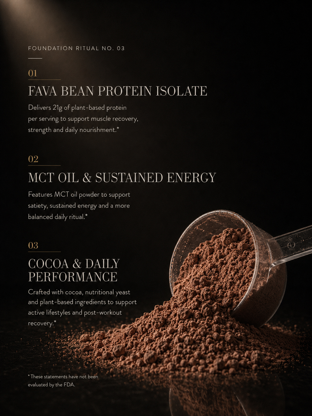 Plant Protein (Chocolate)