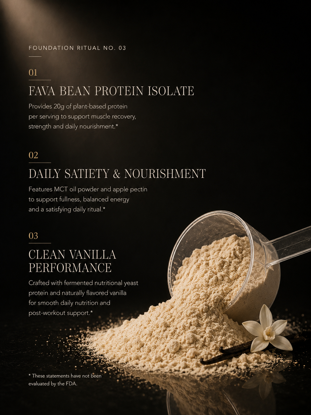 Plant Protein (Vanilla)